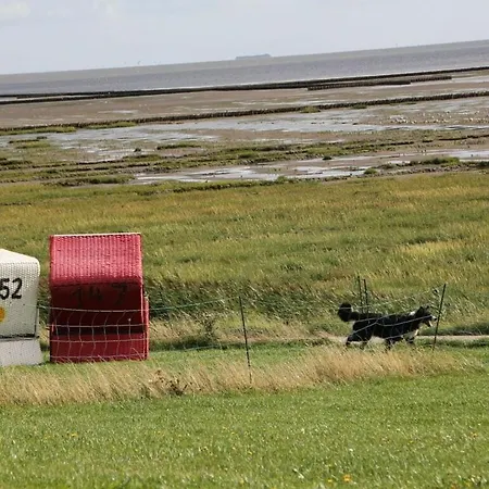 In Galmsbull